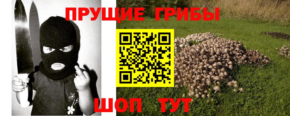 Галлюциногенные грибы GOLDEN TEACHER Тулун